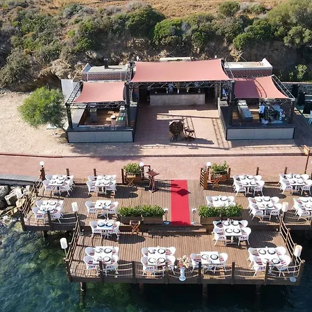 Hotel Yasmin 5*